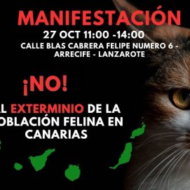 Manifestación