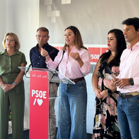 Loli Corujo, secretaria insular del PSOE y diputada en el Congreso, durante una rueda de prensa