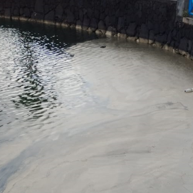 Suciedad en el Charco de San Ginés