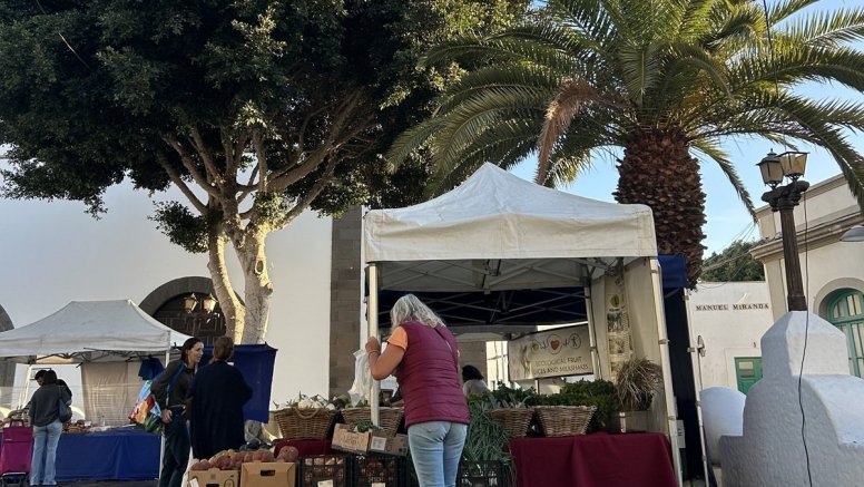 Puesto de un agricultor en la plaza de Las Palmas