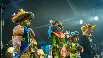 Concurso Murgas Infantiles (11)