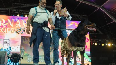 Concurso de Disfraces Caninos de Arrecife