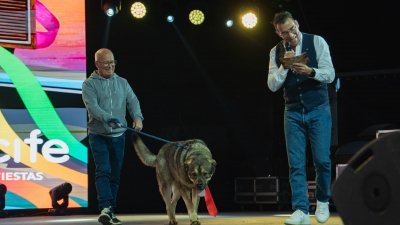 Concurso de Disfraces Caninos de Arrecife