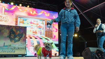 Concurso de Disfraces Caninos de Arrecife