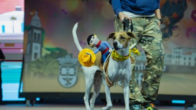 Concurso de Disfraces Caninos de Arrecife