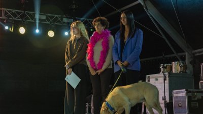 Concurso de Disfraces Caninos de Arrecife