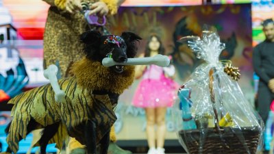 Concurso de Disfraces Caninos de Arrecife