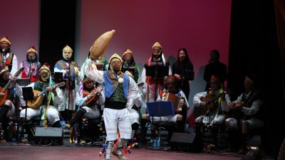 ESPECTACULO DE LOS BUCHES  (9)