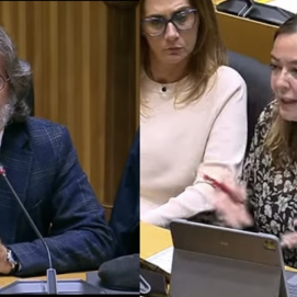 Luis Gortázar y Loli Corujo en el Congreso