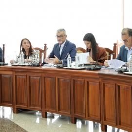 Pleno Ordinario del Cabildo de Lanzarote