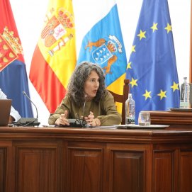 La portavoz del Grupo Socialista en el Cabildo, Ariagona González.