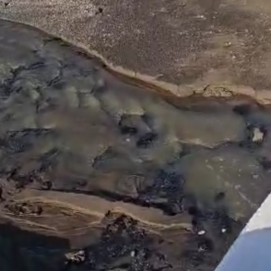 Vertidos de aguas fecales