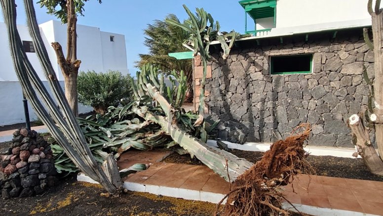 Pitera tirada por el viento en una casa