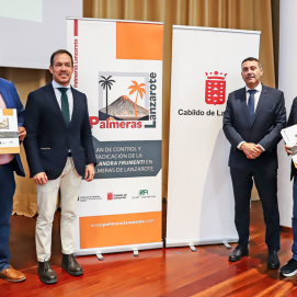 Presentación del proyecto para combatir la plaga que afecta a las palmeras