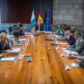 Consejo del Gobierno de Canarias. Deuda. Inversión Pública.
