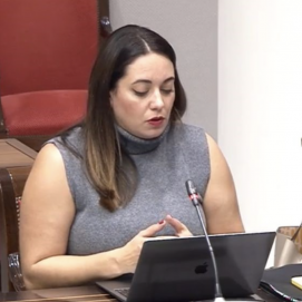 La parlamentaria del Grupo Canario Nacionalista (CCa), Cristina Calero.