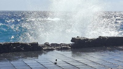 Destrozos en Playa Chica en Puerto del Carmen (Barbarella Buchner)