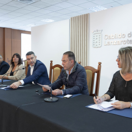 Presentación del proyecto de ayudas a los ayuntamientos