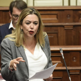 La diputada y portavoz de los socialistas canarios en las Cortes Generales, Dolores Corujo.