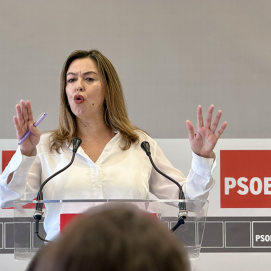 Loli Corujo, secretaria general del PSOE de Lanzarote y portavoz de los socialistas canarios en el Congreso