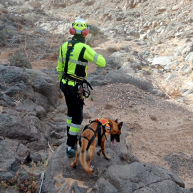 Binomio canino de Emerlan