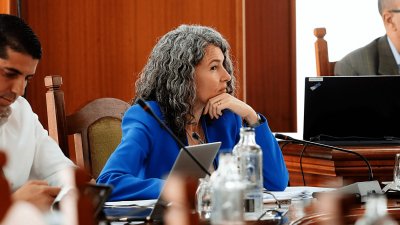 Ariagona González, portavoz del Grupo Socialista en el Cabildo de Lanzarote