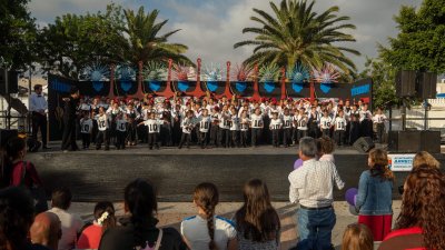 Fiestas de Titerroy