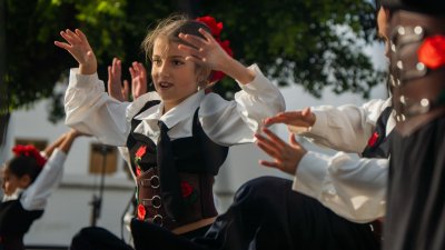 Fiestas de Titerroy