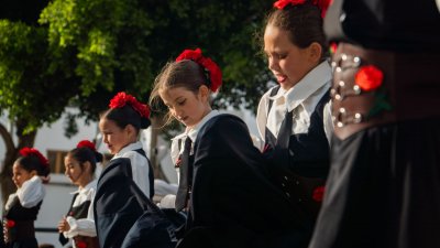 Fiestas de Titerroy
