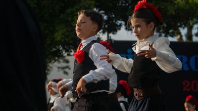 Fiestas de Titerroy