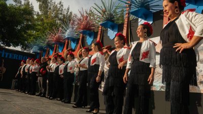 Fiestas de Titerroy
