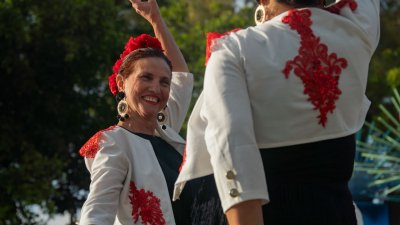 Fiestas de Titerroy