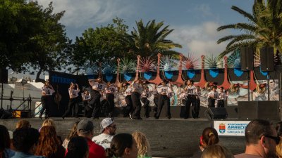 Fiestas de Titerroy