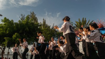 Fiestas de Titerroy
