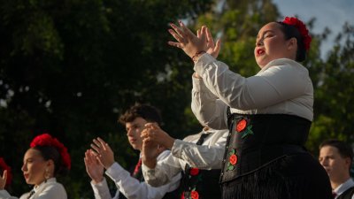Fiestas de Titerroy