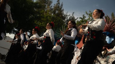 Fiestas de Titerroy