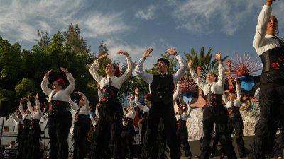 Fiestas de Titerroy