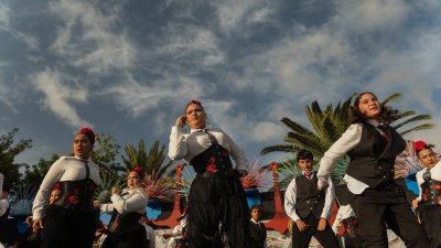 Fiestas de Titerroy