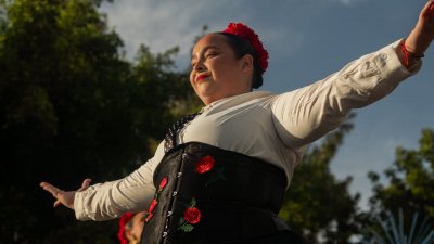 Fiestas de Titerroy