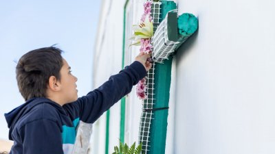 Enramado de cruces en La Villa, 2026