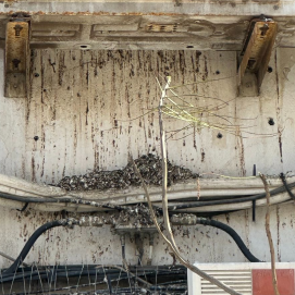 Heces de las palomas en el aire acondicionado de uno de los edificios de Arrecife