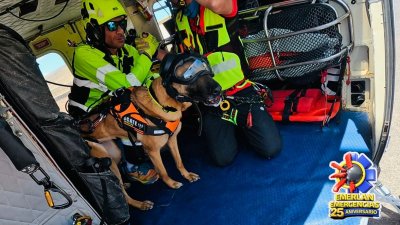 I Jornadas Cinológicas de Rescate Lanzarote