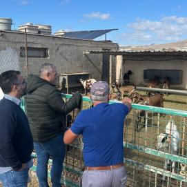 Echedey Eugenio y Jacobo Lemes en una visita a unas instalaciones ganaderas en Arrecife