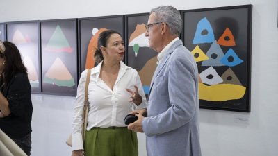 Rueda de prensa de la plataforma por el Hospital Insular 