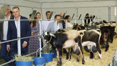 Inauguración de la Feria de Agricultura de Teguise