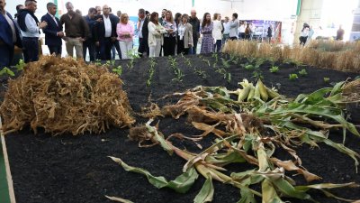 Inauguración de la Feria de Agricultura de Teguise