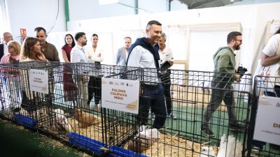 Inauguración de la Feria de Agricultura de Teguise