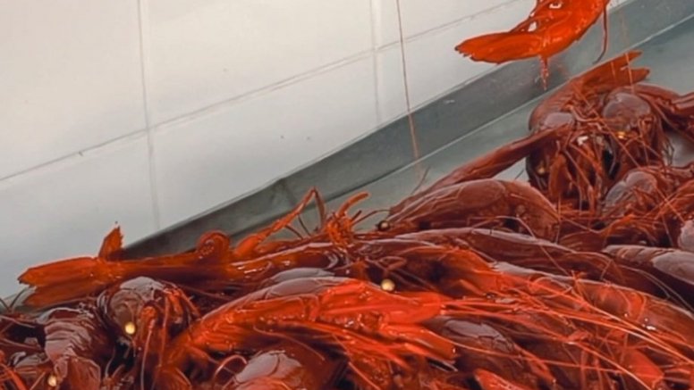 Carabineros de La Santa. Foto: Cedida