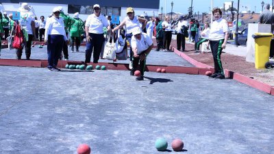XXIV edición del Torneo Abuelos Conejeros