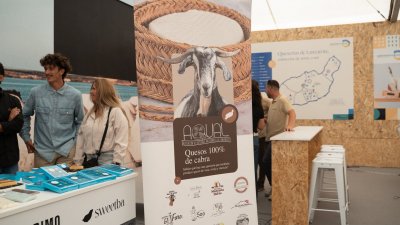 Premios de mejores quesos en la Feria de Agricultura de Teguise